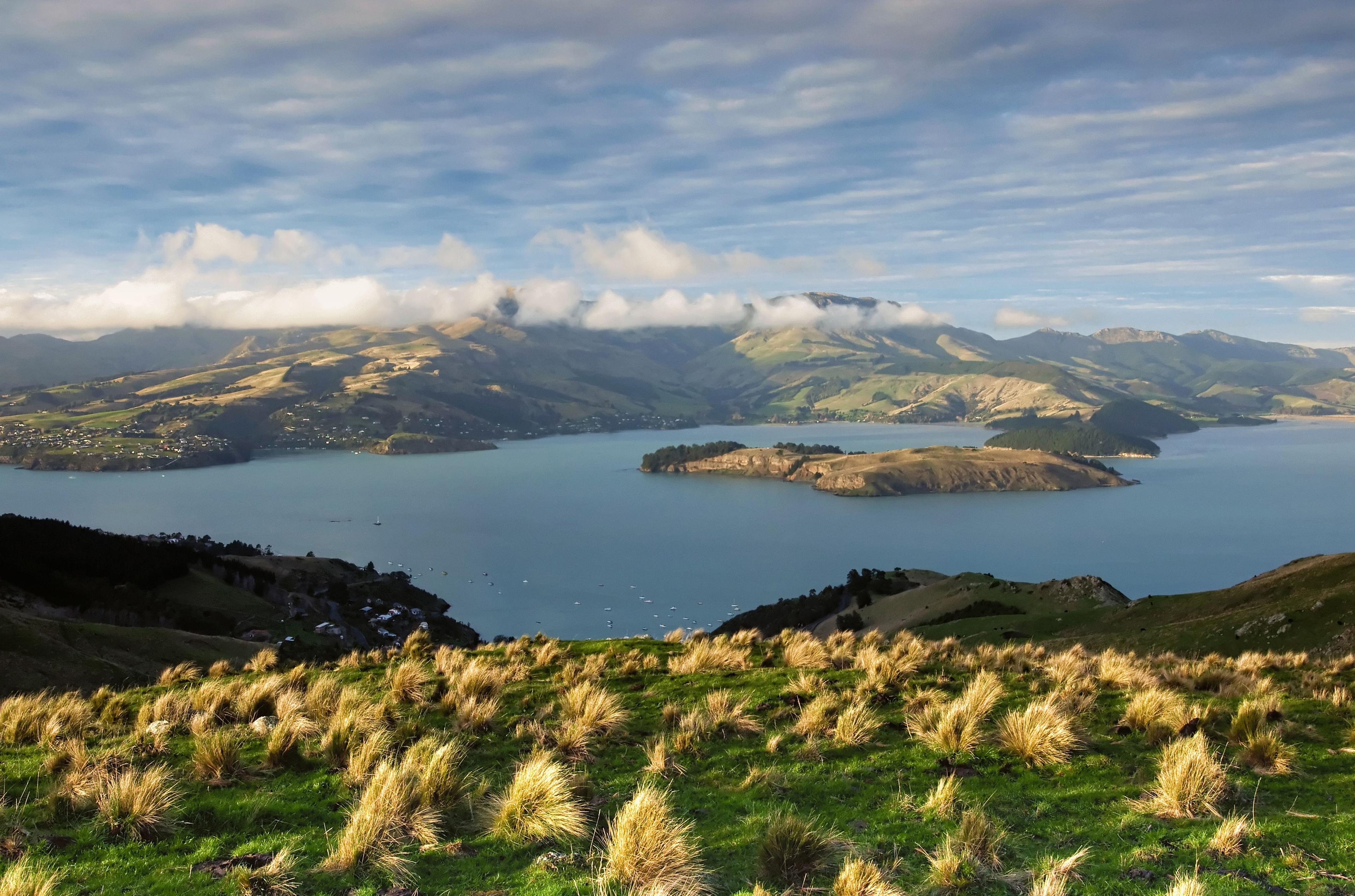 Image of Cruise from Auckland to Melbourne